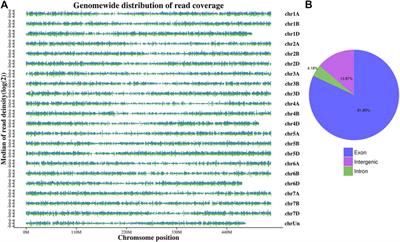 Comparative transcriptome responses of leaf and root tissues to salt stress in wheat strains with different salinity tolerances